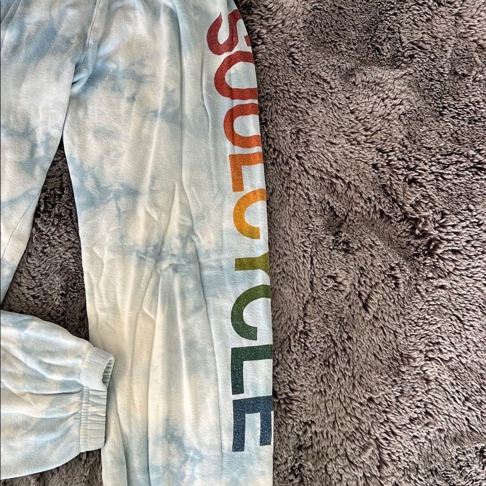 RARE Aviator Nation x SoulCycle Sweatpants - Picture 4 of 9